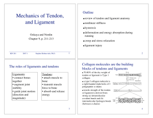 Mechanics of Tendon, and Ligament