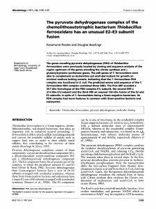 The pyruvate dehydrogenase complex of the chemol