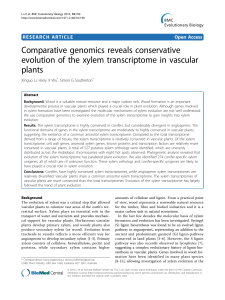 Comparative genomics reveals conservative evolution of the xylem