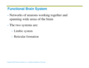 Functional Brain System Networks of neurons working together and