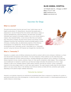 Vaccines - Blum Animal Hospital