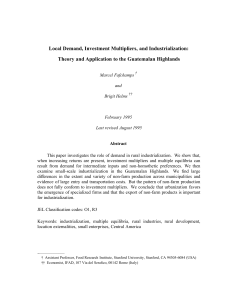 Local Demand, Investment Multipliers, and Industrialization: Theory