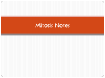 Mitosis Notes