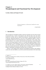 Morphological and Functional Ear Development