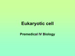 4-Premedical-Cell