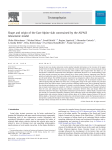 Shape and origin of the East-Alpine slab constrained by the