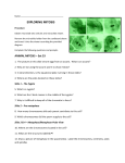 exploring mitosis