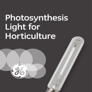 Photosynthesis Light for Horticulture