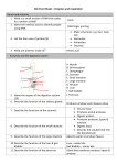 B2.2 Fact Sheet – Enzymes and respiration Genes and proteins 1