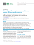 life cycle, cell wall and cell signal transduction