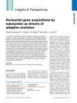 Horizontal gene acquisitions by eukaryotes as drivers of adaptive