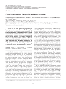 Chara Myosin and the Energy of Cytoplasmic Streaming