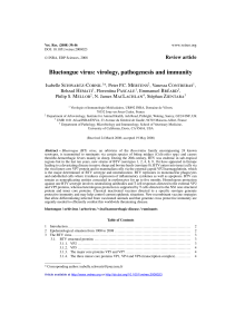 Bluetongue virus: virology, pathogenesis and immunity