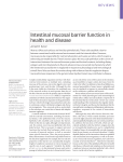 Intestinal mucosal barrier function in health and disease