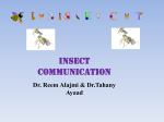 How do insects communicate?