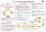 Nutrient Recycling Poster