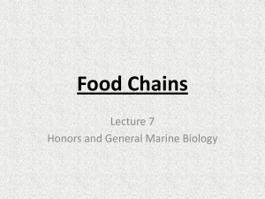 11/17: Food Chains