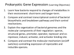 Prokaryotic Gene Expression (Learning Objectives)