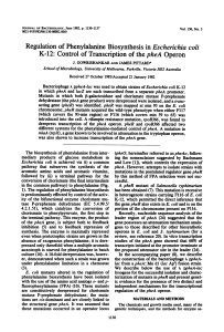 Regulation of phenylalanine biosynthesis in Escherichia coli K