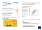 Key Stage 4 – Nervous models Pupil worksheet
