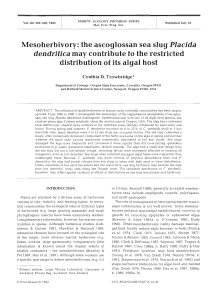 Mesoherbivory: the ascoglossan sea slug Placida dendritica may