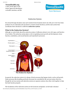 Bio Endocrine System Art