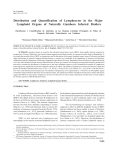 Distribution and Quantification of Lymphocytes in the Major