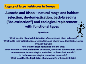 Aurochs and Bison – natural range and habitat selection, de
