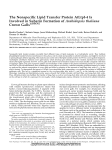 The Nonspecific Lipid Transfer Protein AtLtpI-4 Is