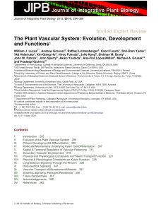 The Plant Vascular System