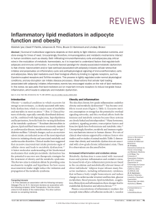 Inflammatory lipid mediators in adipocyte function and obesity
