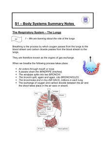 S1 – Body Systems Summary Notes