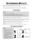 Motility Handout