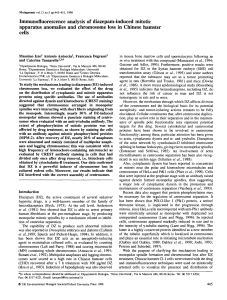 Immunofluorescence analysis of diazepam