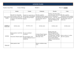 lesson Plans - Lemon Bay High School