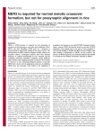 MER3 is required for normal meiotic crossover formation, but not for