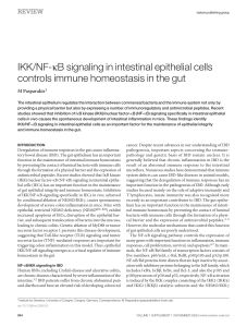 IKK / NF- B signaling in intestinal epithelial cells controls