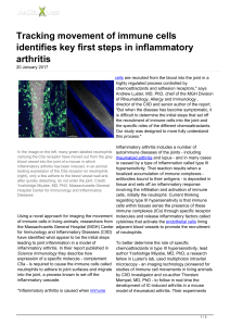 Tracking movement of immune cells identifies key first steps in