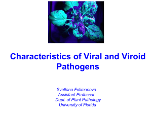 Viruses I - University of Florida