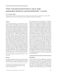 Three^way interactions between Acacia, large mammalian herbivores