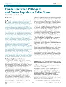 Parallels between Pathogens and Gluten Peptides in Celiac Sprue