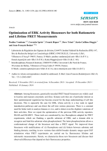 Optimization of ERK Activity Biosensors for both Ratiometric and
