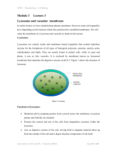 Module 3 Lecture 3 Lysosome and vacuolar membrane