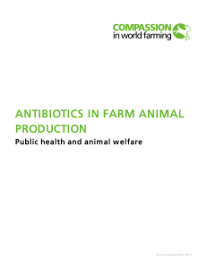 antibiotics in farm animal production
