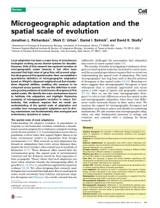 Microgeographic adaptation and the spatial scale of evolution