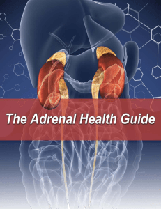 The Phases of Adrenal Fatigue