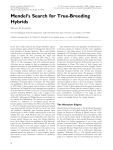 Mendel`s Search for True-Breeding Hybrids