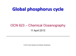 Global phosphorus cycle