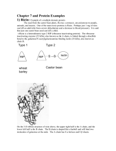 Chapter 7 and Protein Examples