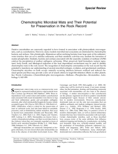 Chemotrophic Microbial Mats and Their Potential